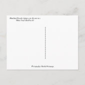 自転車インサンシャワーオンヒルトンヘッドアイランドビーチ ポストカード (裏面)