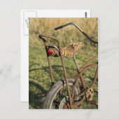 自転車サイクル自転車サイクリングバナナクルーザー ポストカード (正面/裏面)