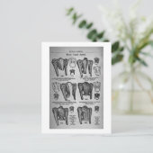 自転車ファッション1897 -ヴィンテージ ポストカード (スタンド正面)