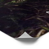 自転車ポスター ポスター (角)