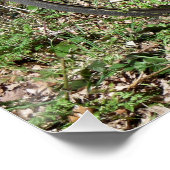 自転車 ポスター (コーナー)