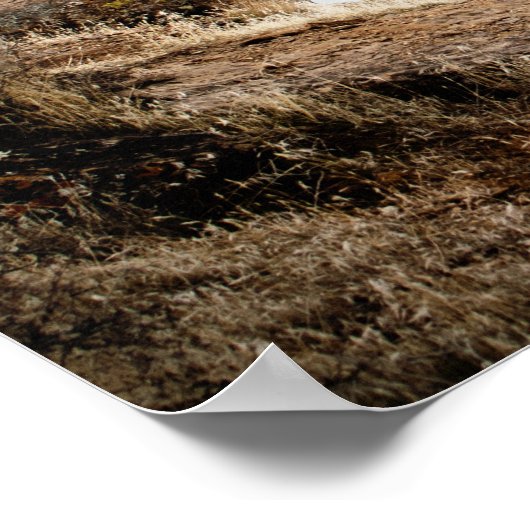 自転車 ポスター (角)