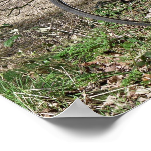 自転車 ポスター (角)