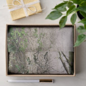 自転車 薄葉紙 (ギフト)