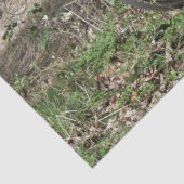 自転車 薄葉紙 (詳細)