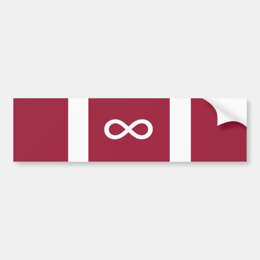 自閉症のプライドのバンパーステッカー バンパーステッカー (正面)