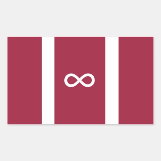 自閉症プライド国旗 長方形シール (正面)