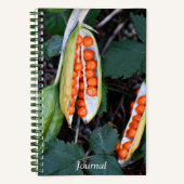 臭いアイリスシードポッドの写真 ノートブック (正面)