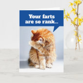 臭いファルトの誕生日カードによる猫の鼻を持つ カード (黄色い花)