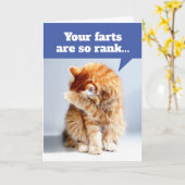臭いファルトの誕生日カードによる猫の鼻を持つ カード (黄色い花)