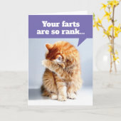 臭いファルトの誕生日カードによる猫の鼻を持つ カード (黄色い花)