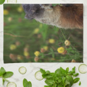 臭い春グラウンドホッグ キッチンタオル (折り畳み)