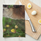 臭い春グラウンドホッグ キッチンタオル (四つ折り)