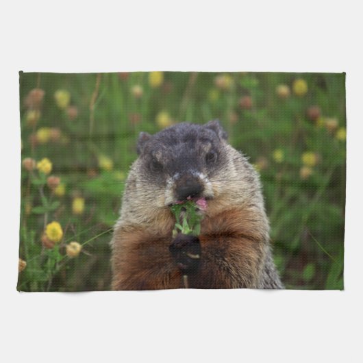 臭い春グラウンドホッグ キッチンタオル (横)