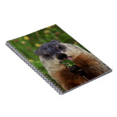 臭い春グラウンドホッグ ノートブック (右側)