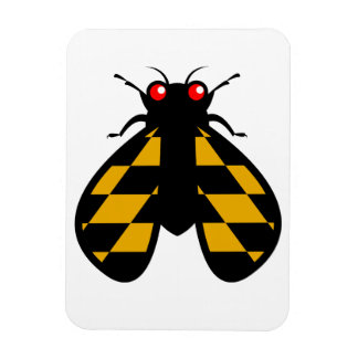 臭素覚醒磁石 マグネット