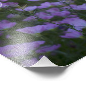 至る所に咲く野草 フォトプリント            (角)
