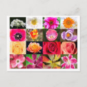 至る所に花 Postcard ポストカード (正面)