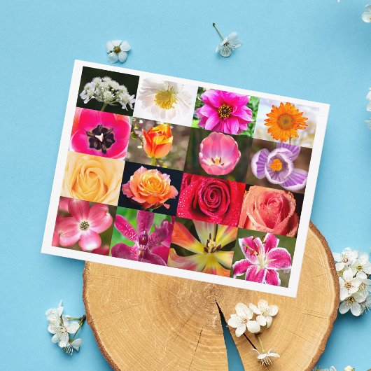 至る所に花 Postcard ポストカード