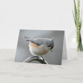 至カード カード