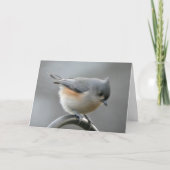 至カード カード (正面)