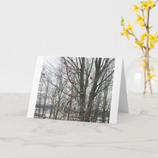 至カード カード (黄色い花)