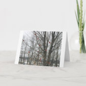 至カード カード (正面)