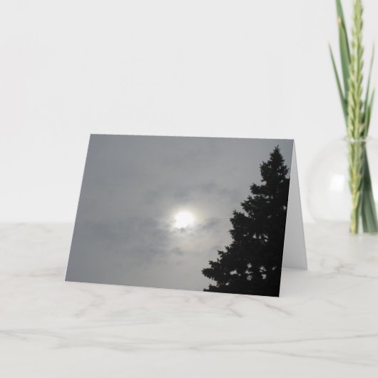 至サンII カード (正面)