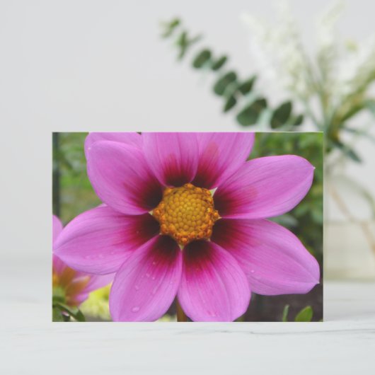 至福の花 (スタンド正面)