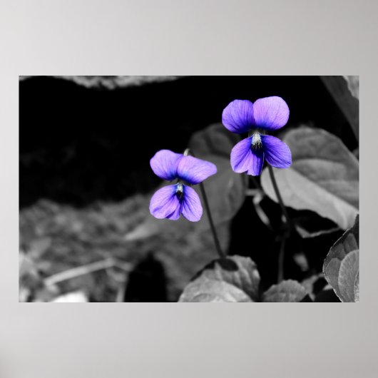 致命的バイオレット ポスター (正面)