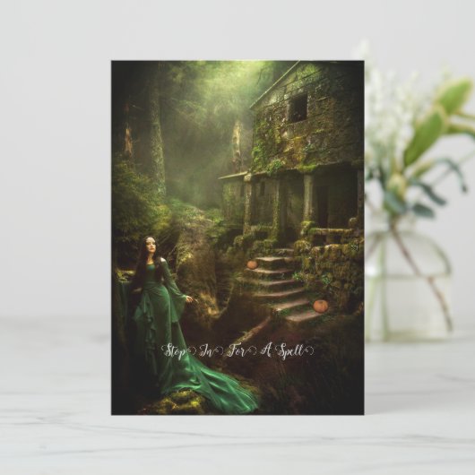 興ストップ奮する 招待状 (スタンド正面)