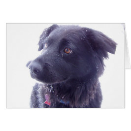 興味のある視線