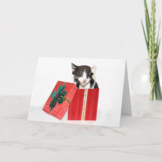 興味はクリスマスの子ネコを得ました シーズンカード (正面)