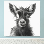 興味をそそるモノクロ調和のとれたベビーヤギ キャンバスプリント (インサイチュ (ウッドフロア))
