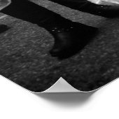 興味津々の金魚のポスター/写真 ポスター (角)