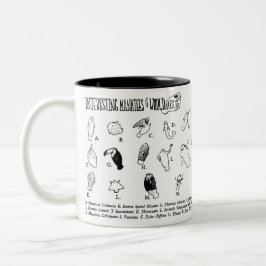 興味深いマナティーのマグ ツートーンマグカップ