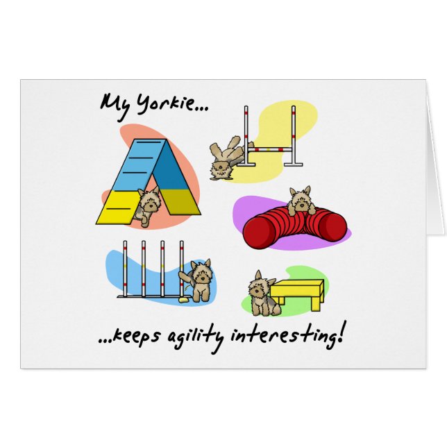 興味深いヨークシャーテリアの敏捷 (正面横)