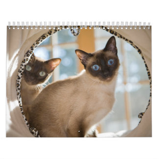 興味 カレンダー