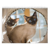 興味 カレンダー (カバー)