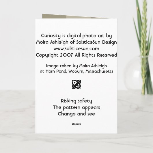 興味 カード (裏面)