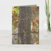 興味 カード (正面)