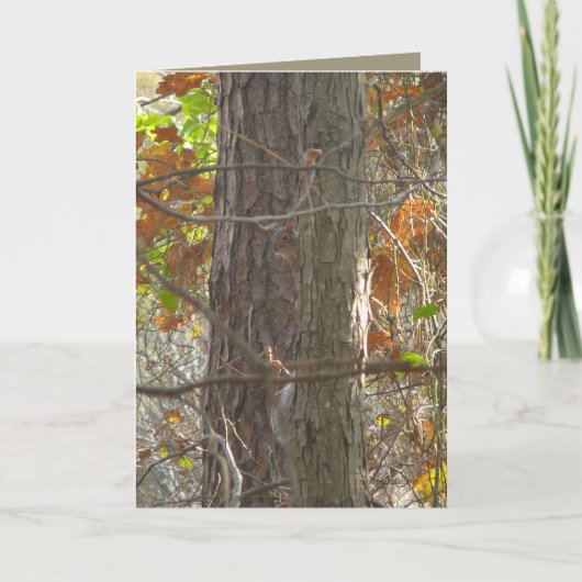 興味 カード (正面)