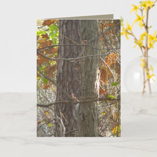 興味 カード (黄色い花)