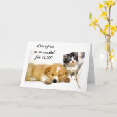 ***興奮した子猫***運転免許もらえる カード (黄色い花)