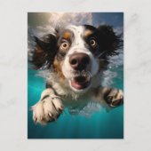 興奮した犬の水中スイミングデザイン ポストカード (正面)