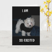 興奮したPUPが*9番目の誕生日*カードを送信 カード (黄色い花)