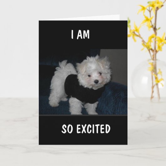 興奮したPUPが*9番目の誕生日*カードを送信 カード (黄色い花)