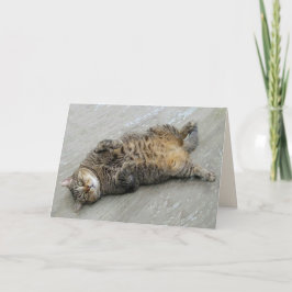 興奮すごい猫誕生日カード カード