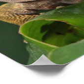 舌おもしろいで唇をなめるGEKO ポスター (角)