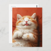 舌おもしろいを出して眠る猫 ポストカード (正面/裏面)